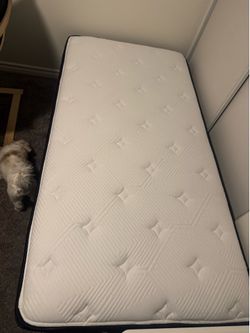 Twin bed