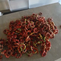 Fruit For Sell