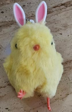 Bath and Body Works Pocketbac Holder 🐥