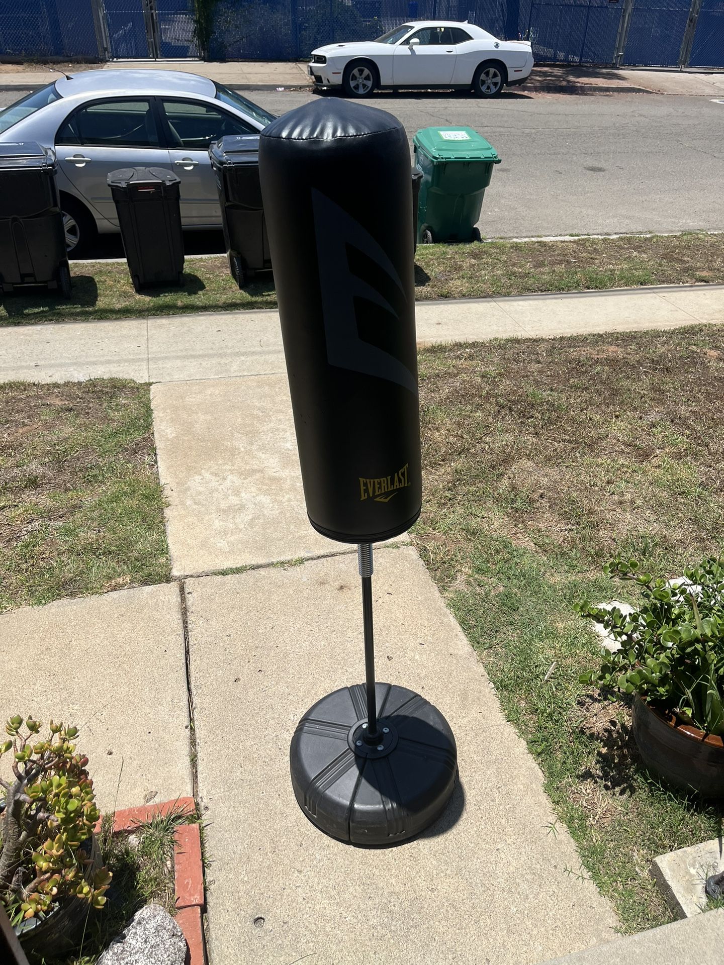 Everlast Standing Punching Bag