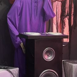 Halloween Skeleton DJ Animatronic Bluetooth