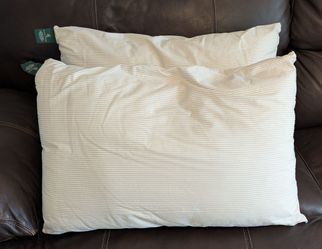 Ralph Lauren Standard Pillows Set of 2 and 2 Pillow Case Covers