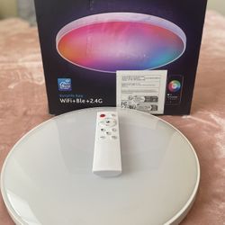 Ceiling LED Light