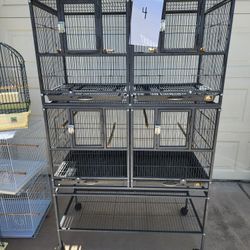 Bird Cage