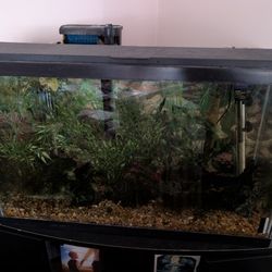 29 Gallon Fish Tank With Decor, Filtration, Heaters, Stand, Supplies, etc.