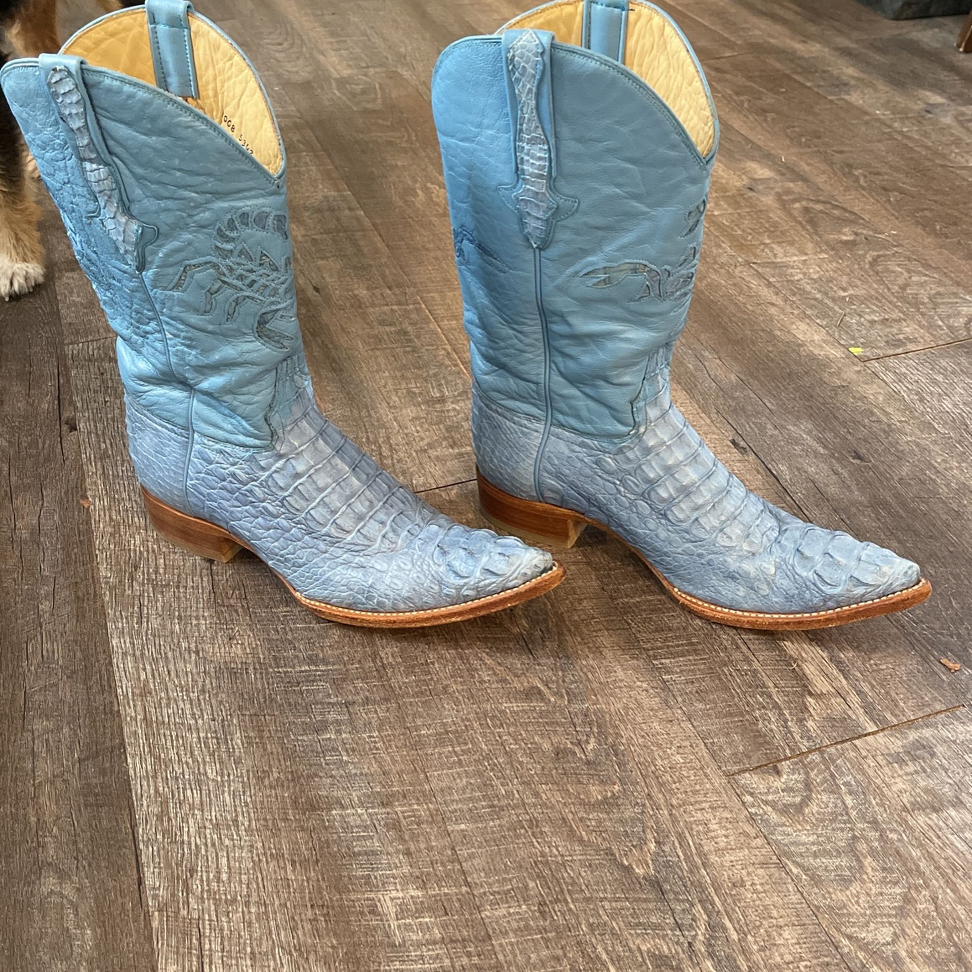 Crocodile Boots