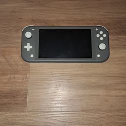 Gray Nintendo Switch Lite