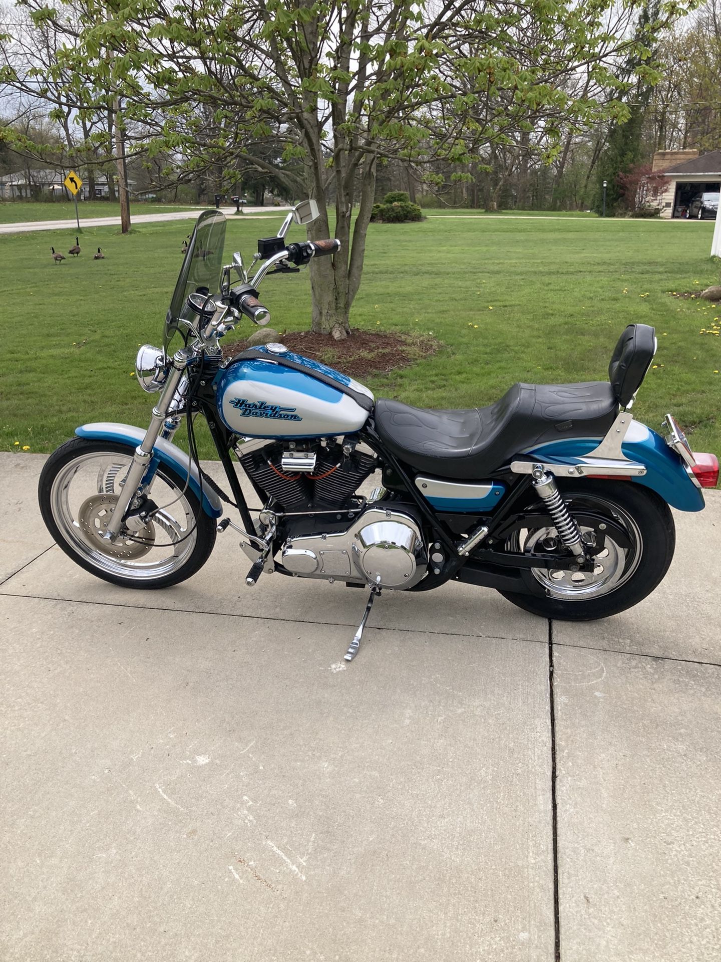 1994 Harley Davidson FXR Low rider
