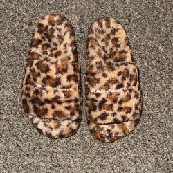 Gv Gallery Slides