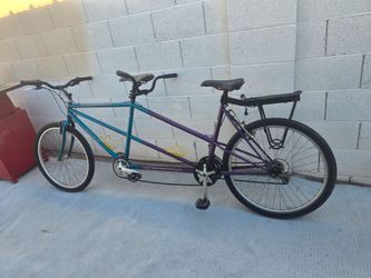 Dual seat bike