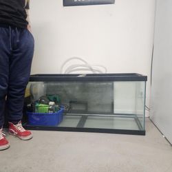 75 Gallon Fish Tank 