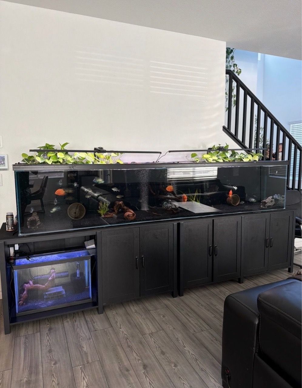 200 Gallon 9ft Fish Tank | Can Deliver for Sale in Henderson, NV - OfferUp