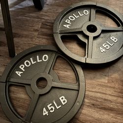 2x45 Lb Easy Grip Weights $80 