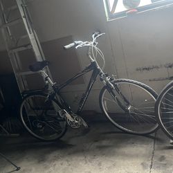 Bicicletas
