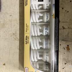 13 Watt CFL Bulbs