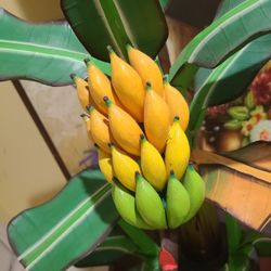 Adorno De Madera De Bananos