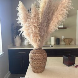 Pampas And Vase 