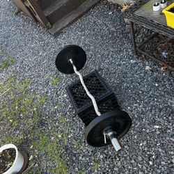 💪 Olympic Set Of Two 33 Lbs Of Weider Plates With Curl Bar💪