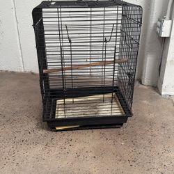 Bird Cage