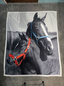 Horse Blanket