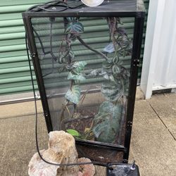 Tall Screened Terrarium