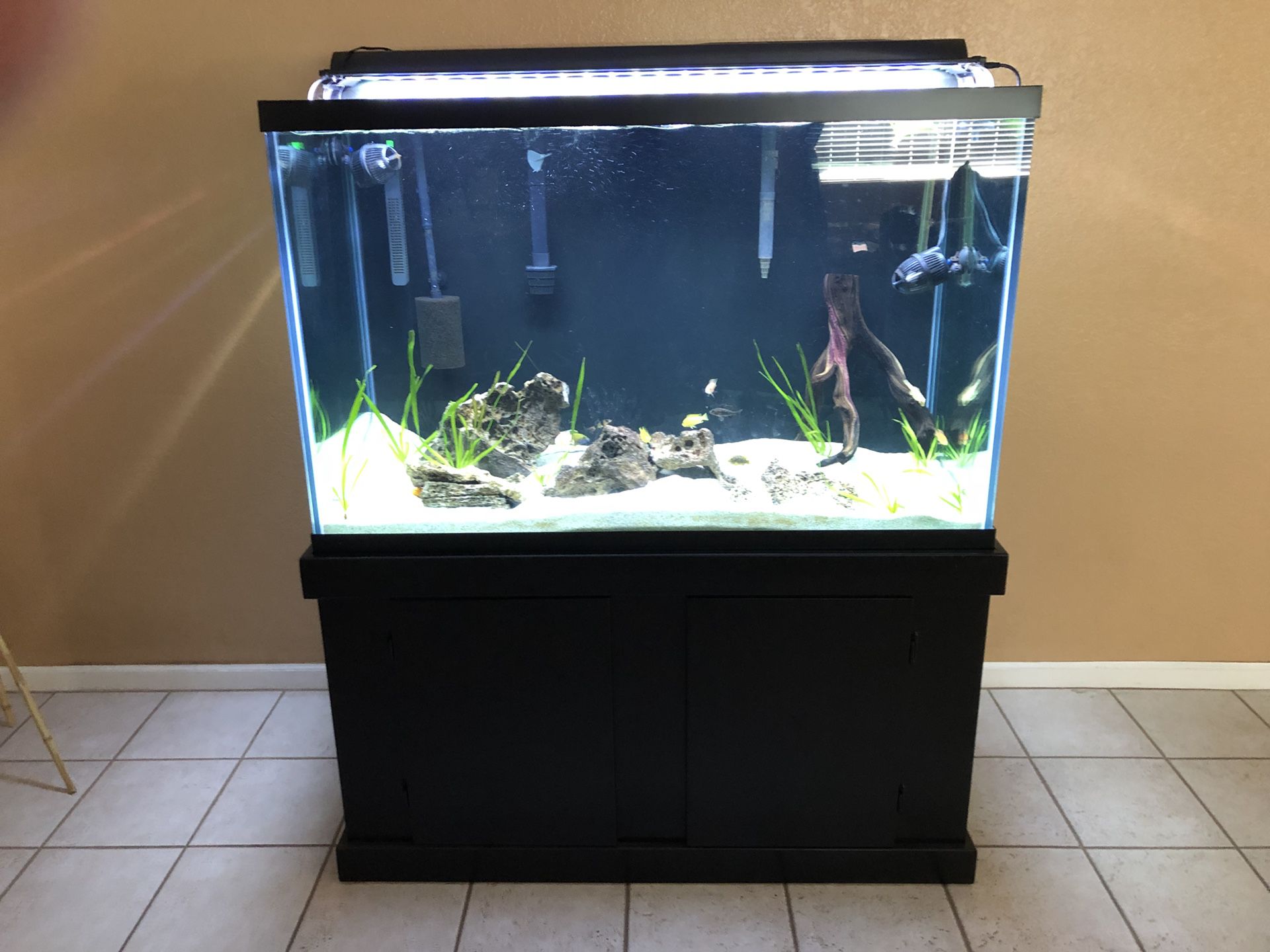150 gallon fish tank