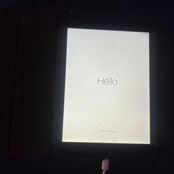 Apple iPad Mini