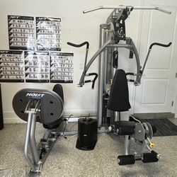 Body Craft Elite Strength Statement 