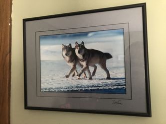 Framed Wolf Photo