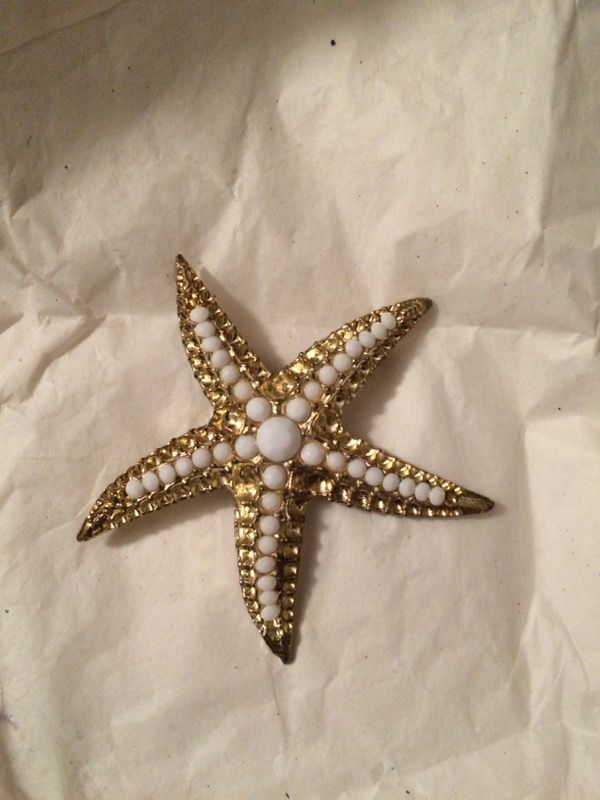 Star fish pin