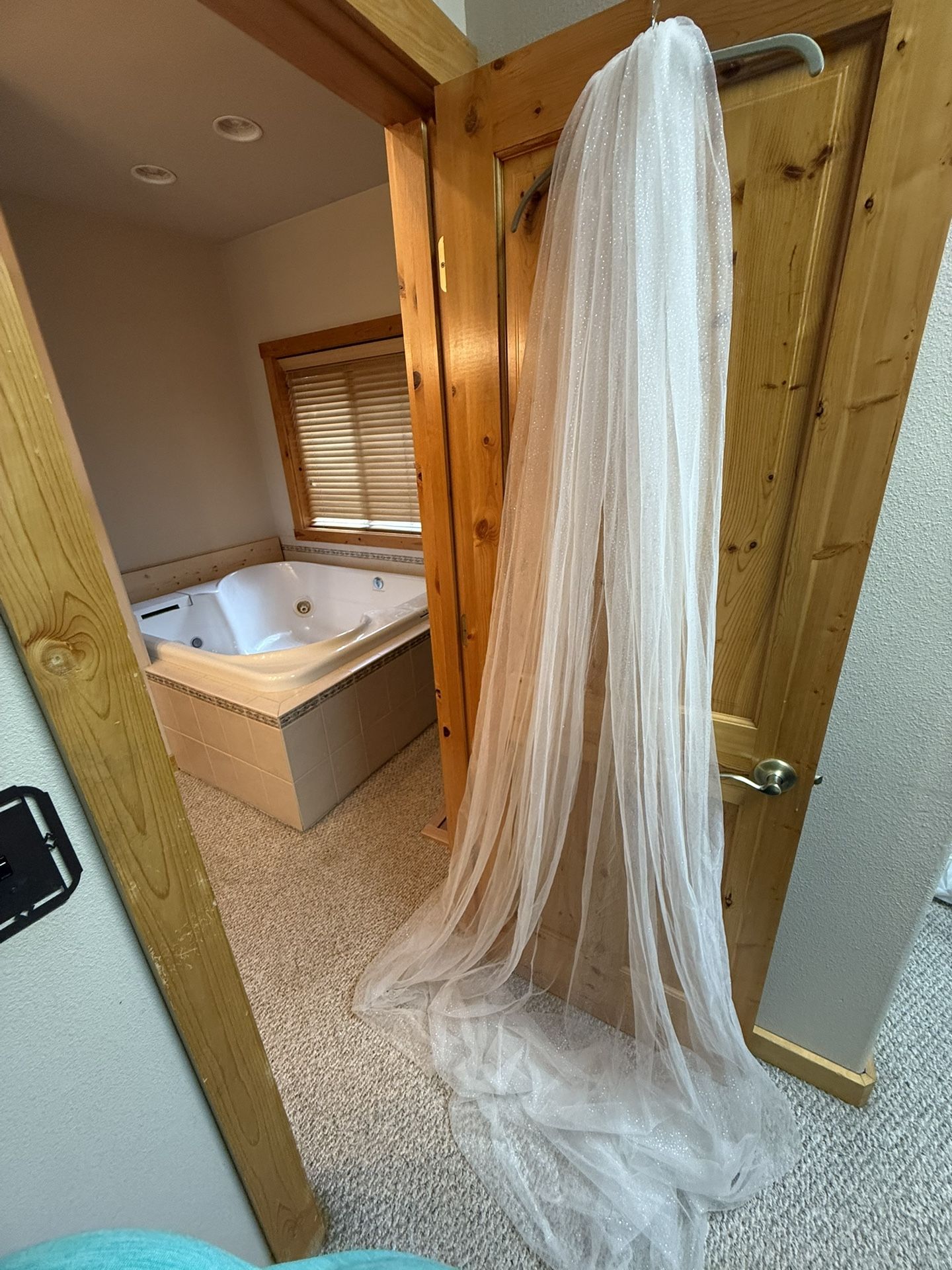 Stunning Cathedral Glitter veil (New)