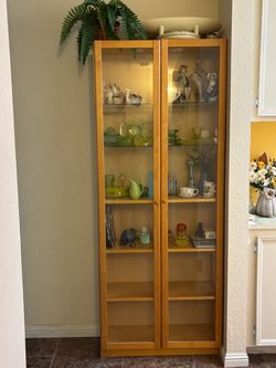 Bookcase with doors Display Cabinet with Lighting