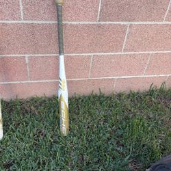 Marucci Fastpitch Softball Bat. 31 