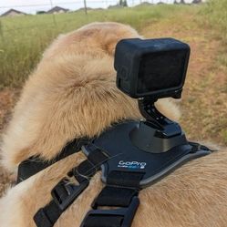 Gopro Hero