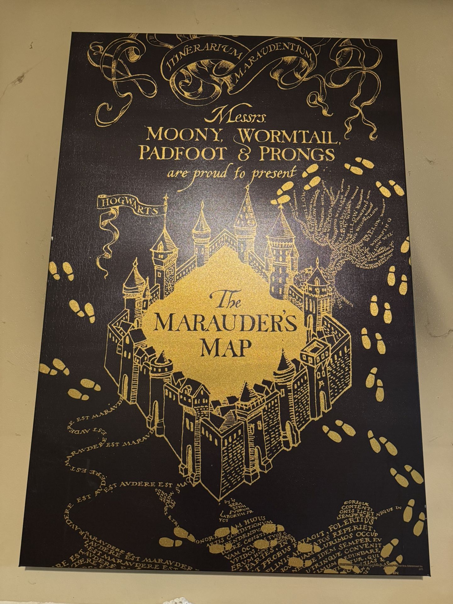 Harry Potter Canvas