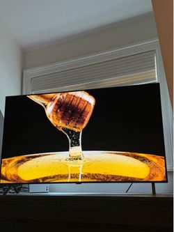B5 OLED (55 inch)