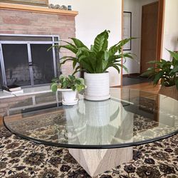 Glass/Stone Coffee Table