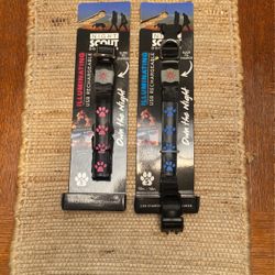 Light Up/ Illuminating Pet Collars