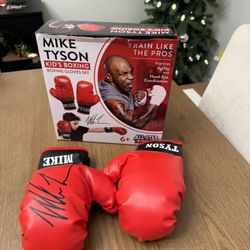 Kids Boxing Gloves - New