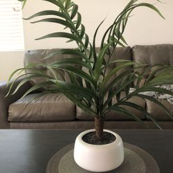 Artificial Palm Plant White Container 