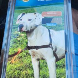 Harness For Sale. Brand New Never Used