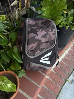 Small baseball bag , hold bats at sides