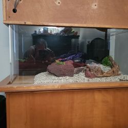 60 Gallon Curved Acrylic Aquarium with Custom Wood and Wet/Dry Filter