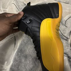 jordan yellow and black 12 retro university