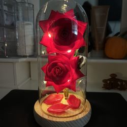 Beauty And The Beast Rose