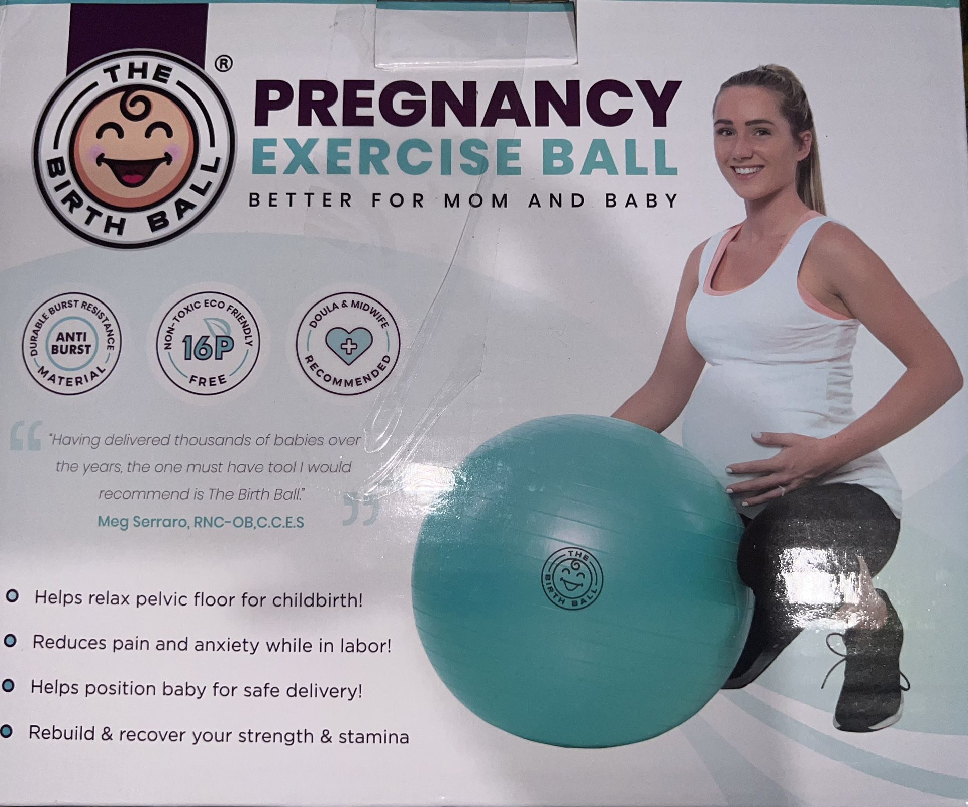 The Birth Ball Pregnancy Exercise ball
