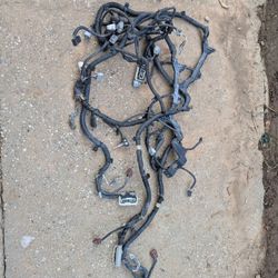 2008 Lexus Is250 Is350 Headlight Wire Harness 