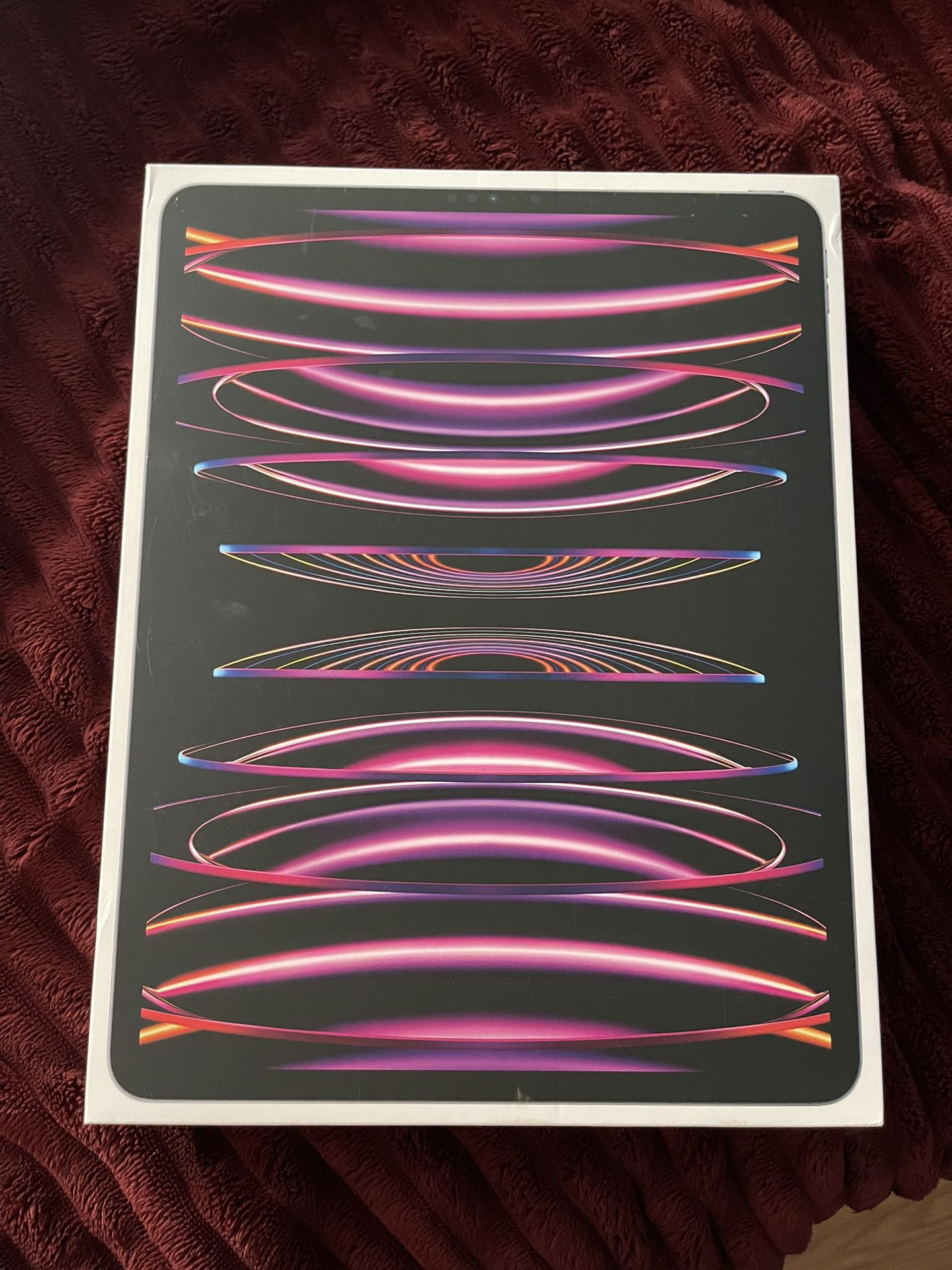 iPad Pro 12.9 (6th Gen) 