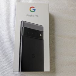 Pixel 6 Pro