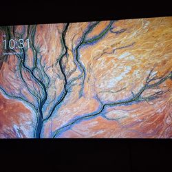 Sony Oled A8H 65 inch